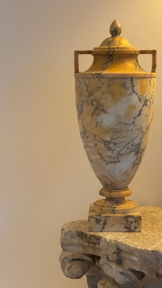 Pair Of Covered Yellow Marble Urns - Vase - 19th Century - Neoclassical-photo-8