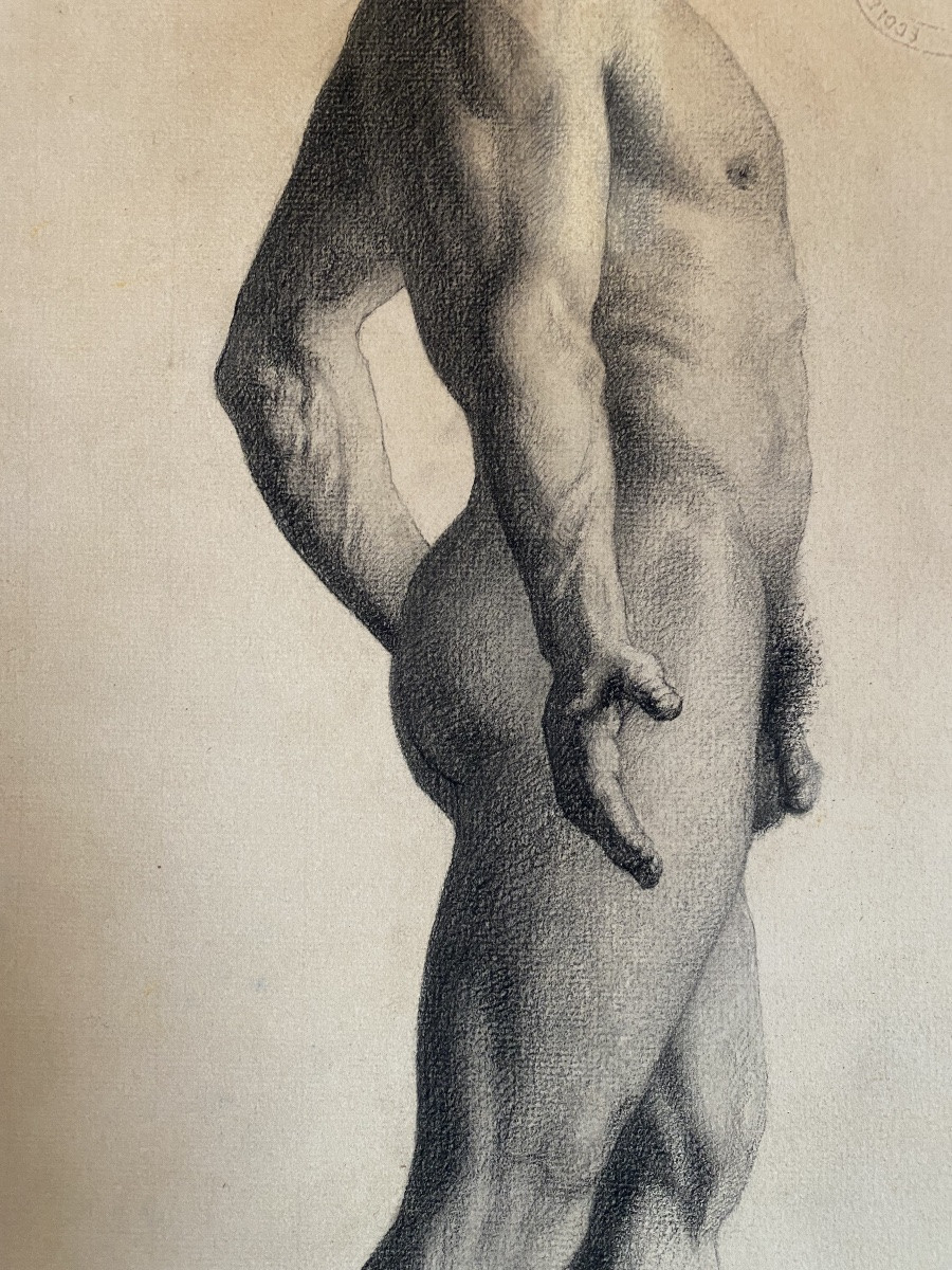 Three Academic Drawings Of A Nude Man Portrait, 19th Century, National School Of Decorative Arts-photo-8