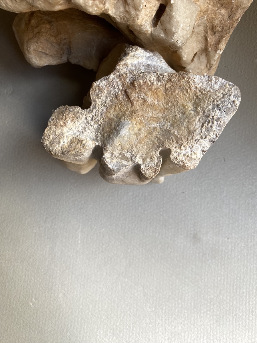 Fragment Of A Drapery In Ancient Roman Marble -photo-4