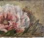 1768891-6a19ae02bbc2f.jpg