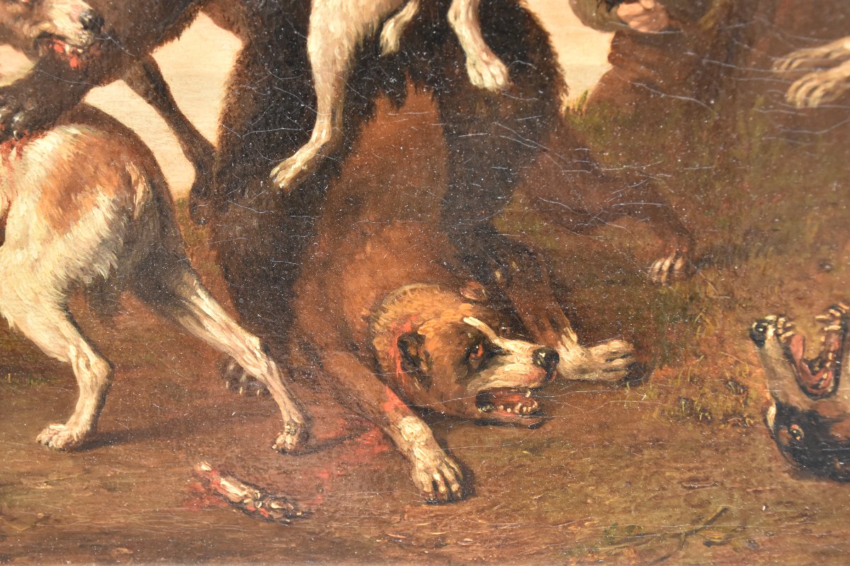 Dutch School, 17th Century Follower Of Paulus Potter (1625–1654) Bear Hunting Scene-photo-4