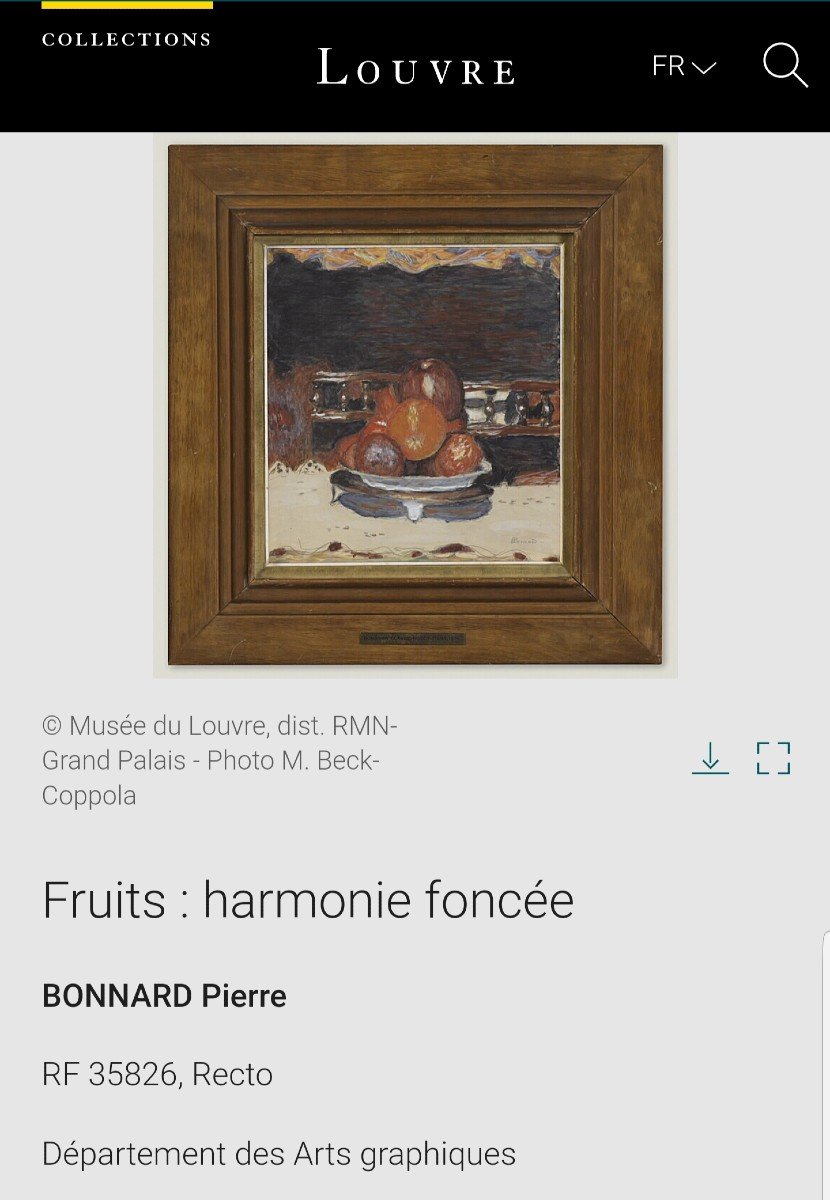 Bonnard - Drawing 1930 - Fruits - Study For Painting-photo-6
