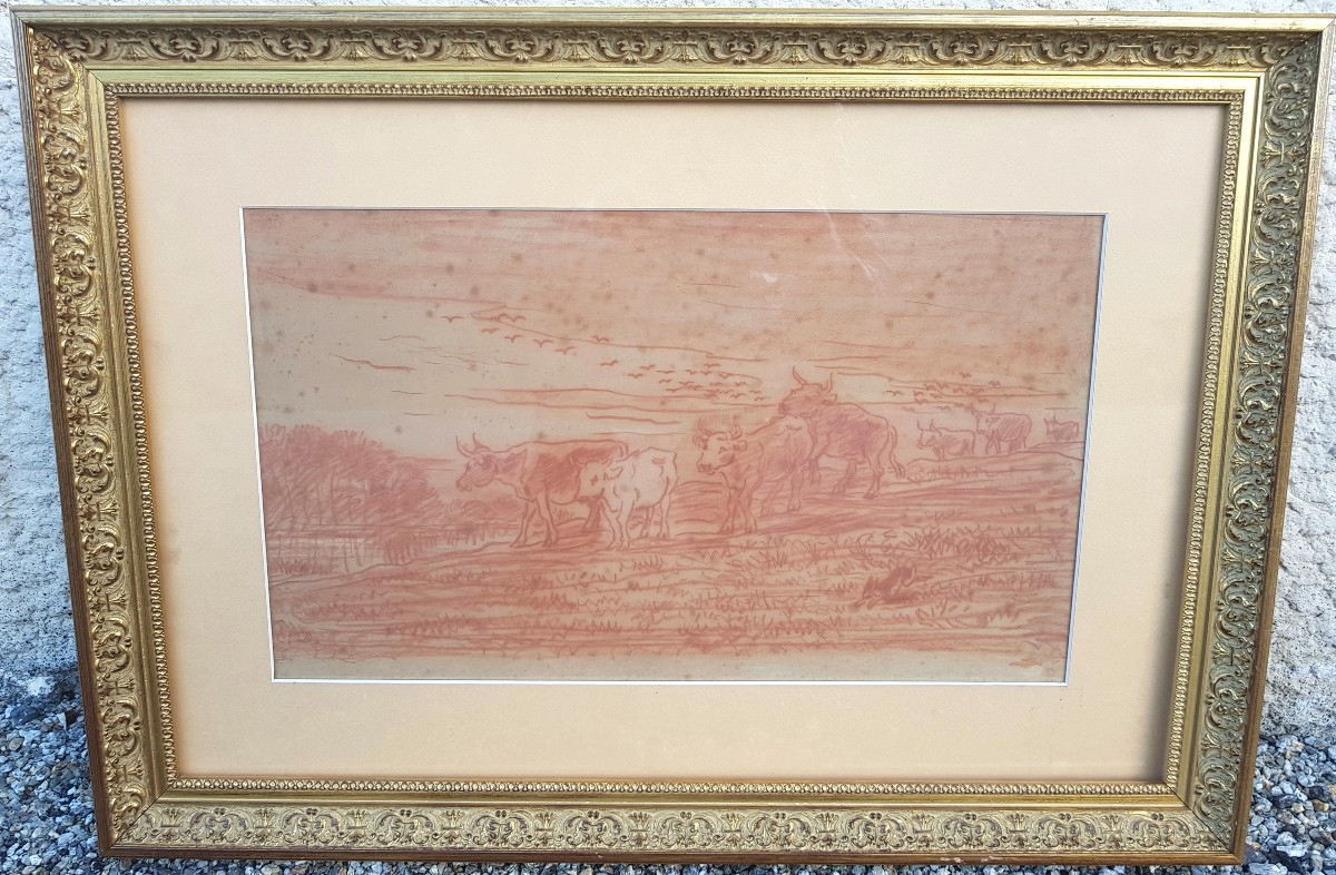 Daubigny - Large Drawing - Cows On The Riverbank