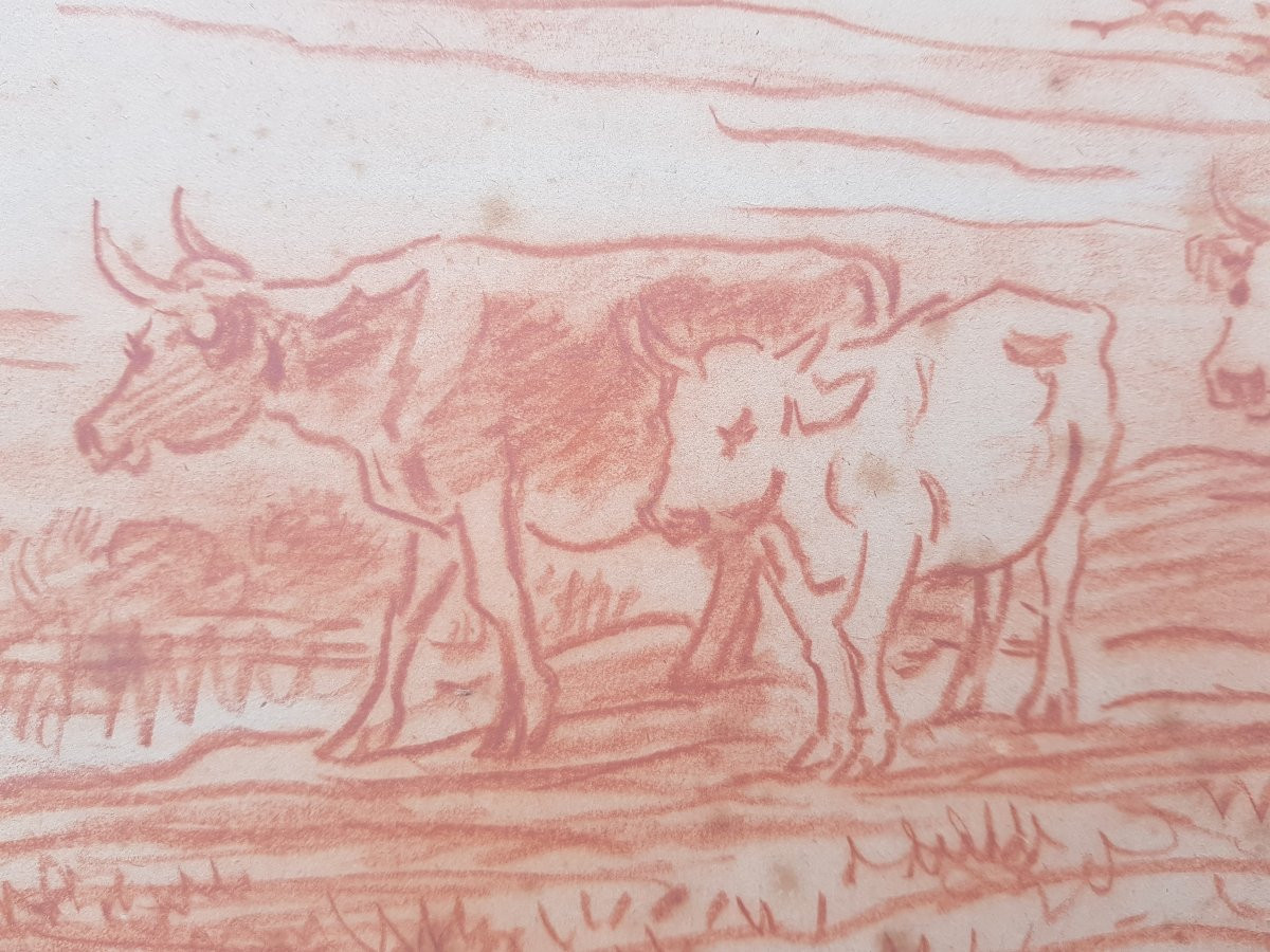 DAUBIGNY - Dessin sanguine - Vaches en bord de rivière-photo-4