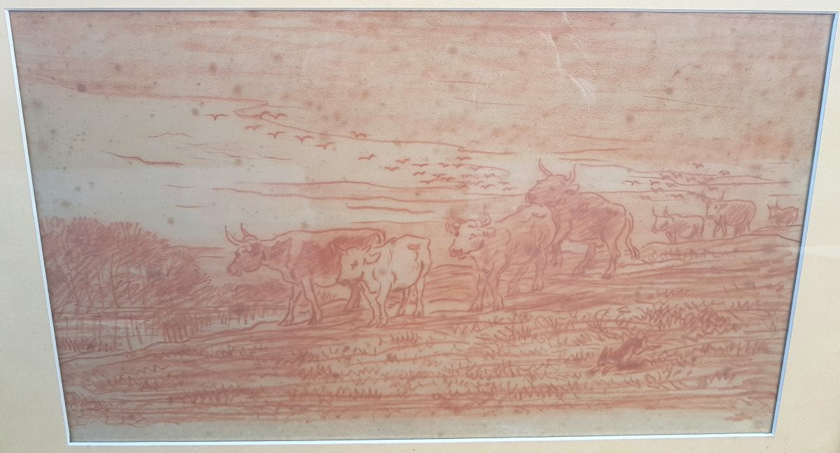 Daubigny - Red Chalk Drawing - Cows By The River-photo-2