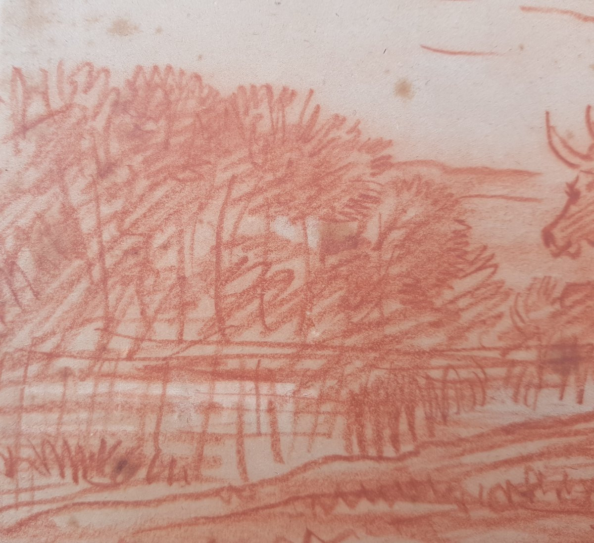 Daubigny - Red Chalk Drawing - Cows By The River-photo-5