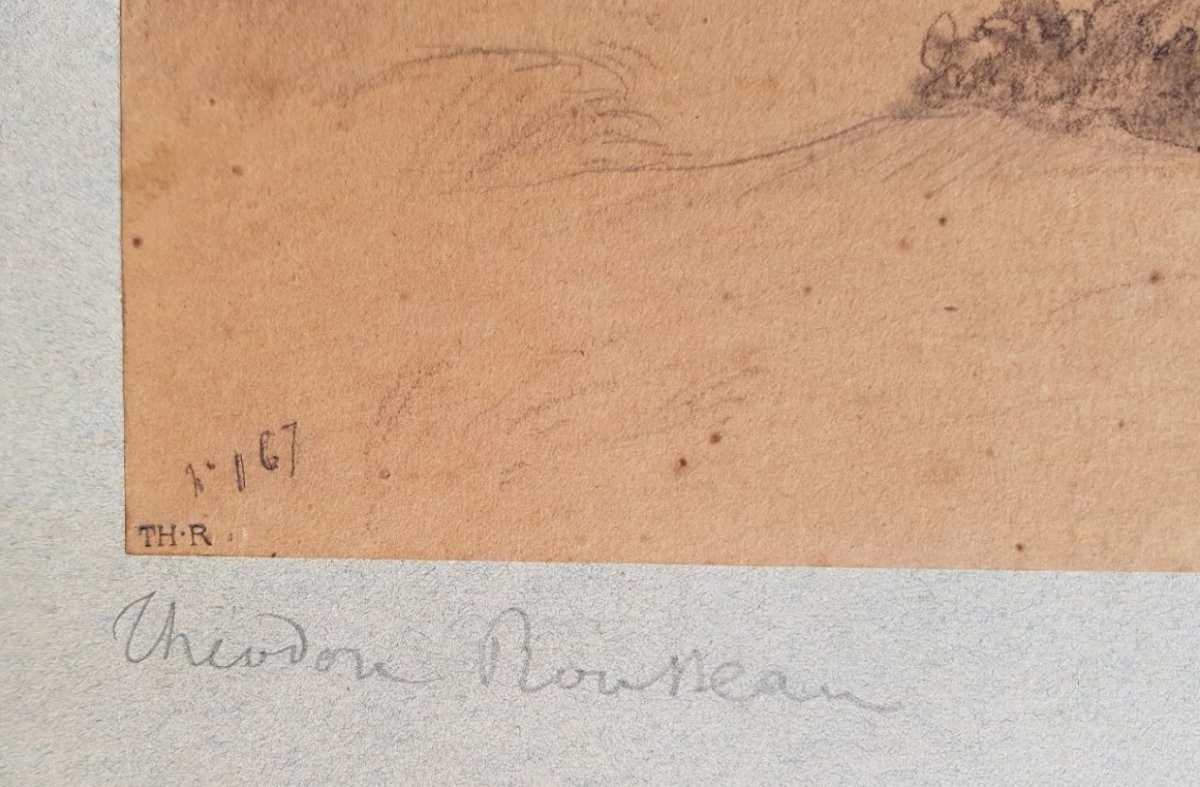 Theodore ROUSSEAU - 1842 - Grand dessin 31 x 47 cms-photo-2