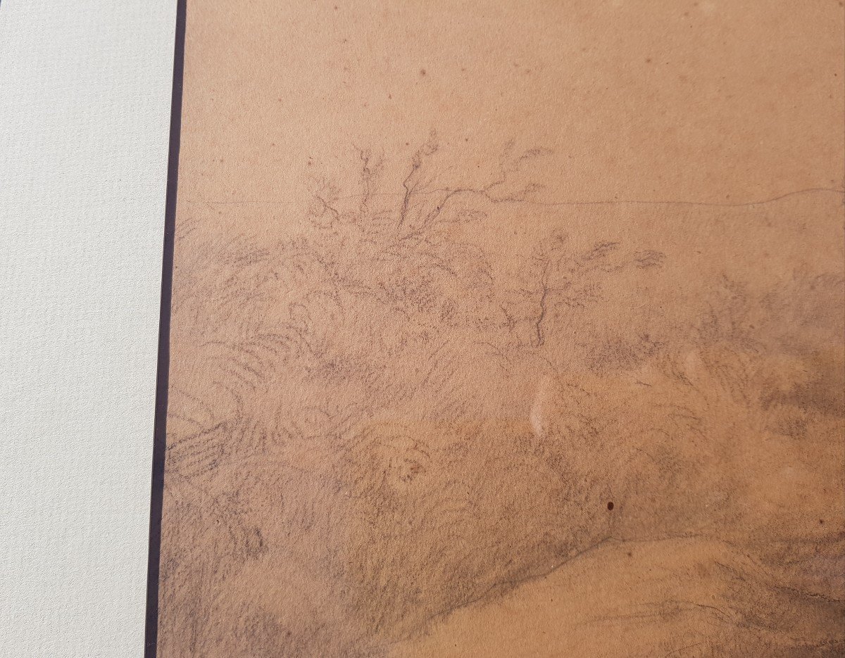 Theodore ROUSSEAU - 1842 - Grand dessin 31 x 47 cms-photo-3