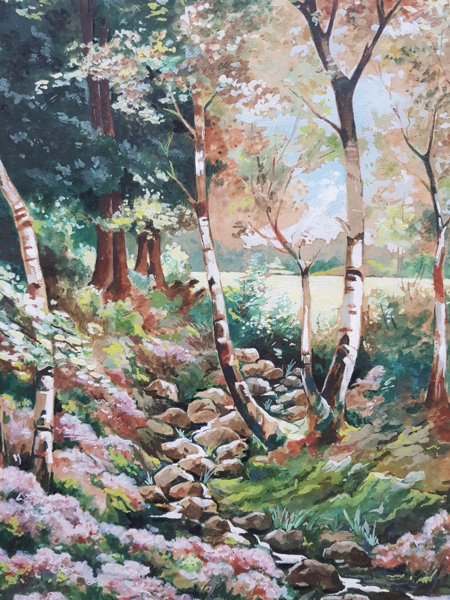 Grande gouache XXè - Signée - Ruisseau en sous-bois-photo-3