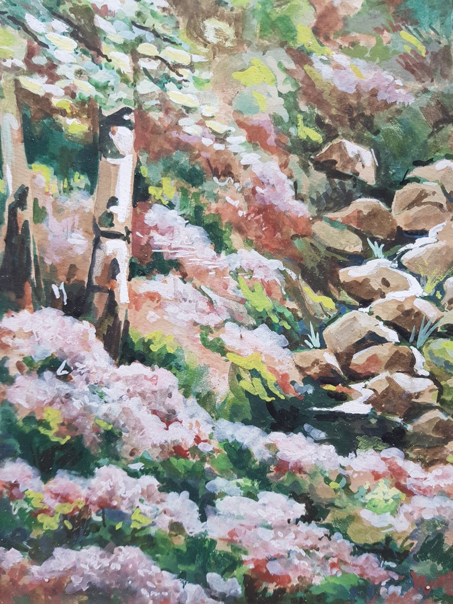 Grande gouache XXè - Signée - Ruisseau en sous-bois-photo-1