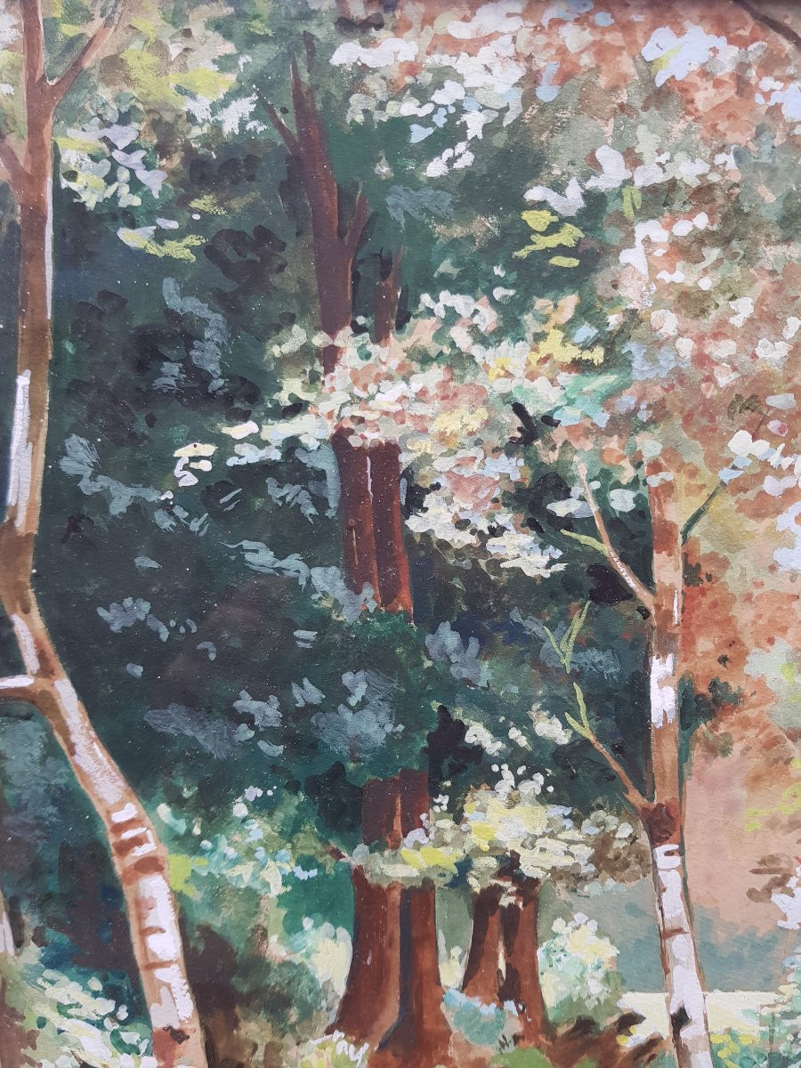 Grande gouache XXè - Signée - Ruisseau en sous-bois-photo-4