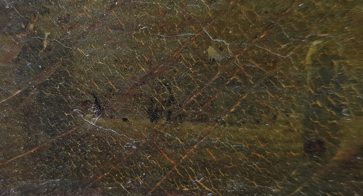 Jean-Victor BERTIN - Huile sur toile - Paysage d'Italie - 1800-photo-2