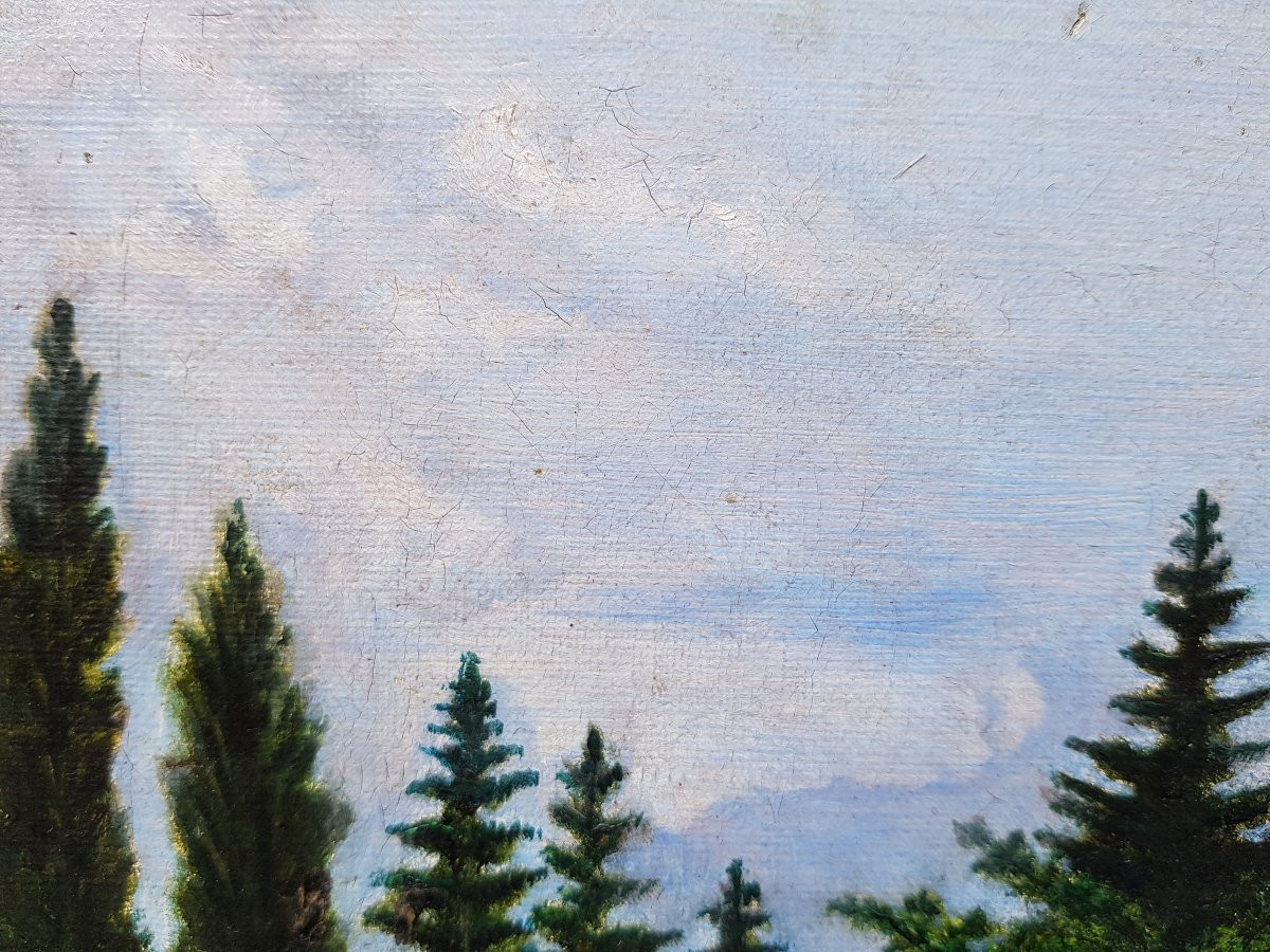 Naive School - Oil On Canvas - Signed Henri Rousseau-photo-8