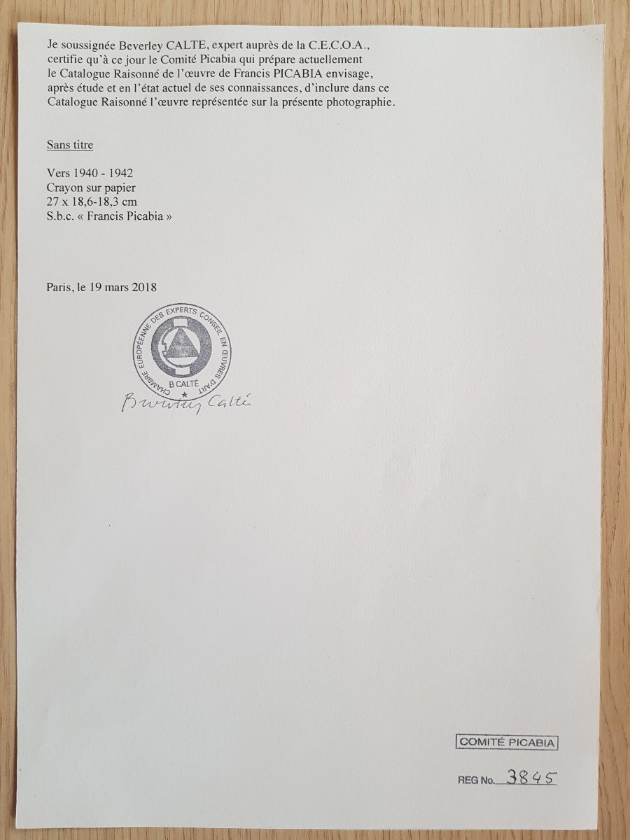 PICABIA - Dessin - Portrait de femme - CERTIFICAT-photo-1