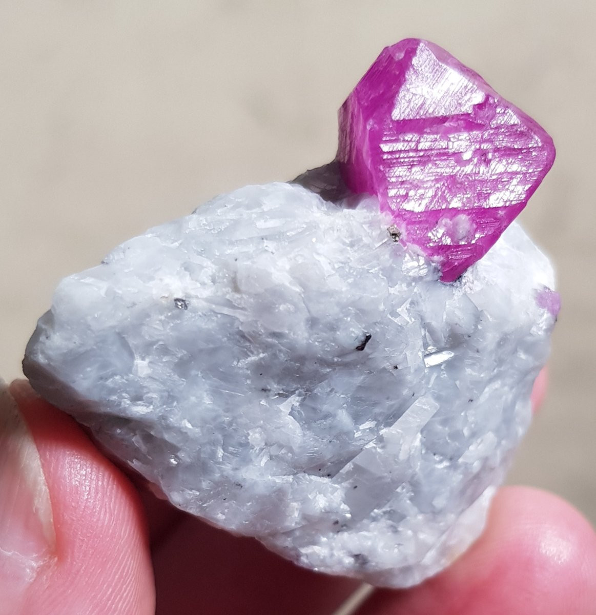 RUBIS naturel sur marbre - Cristal 1,5 cm - Afghanistan-photo-3