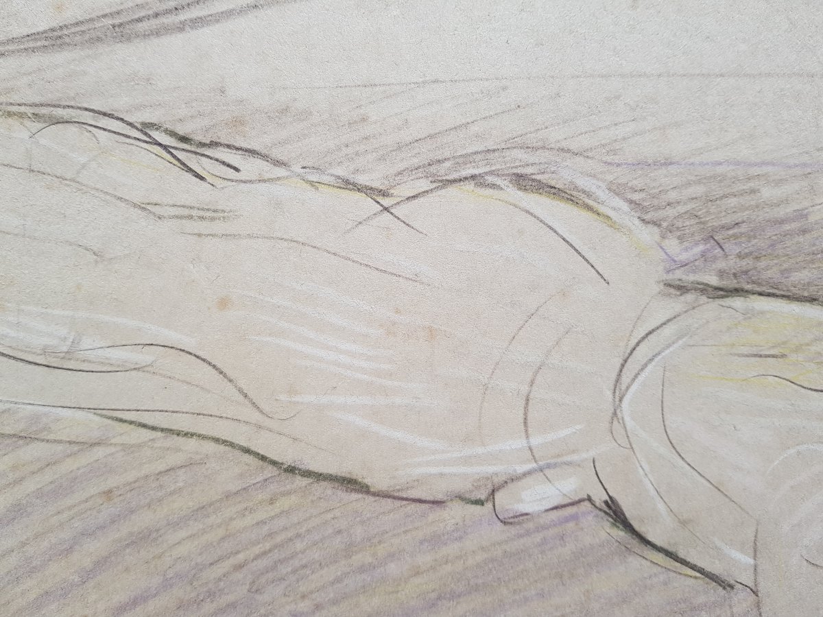 Paul-césar Helleu - Large Drawing - Reclining Girl-photo-2