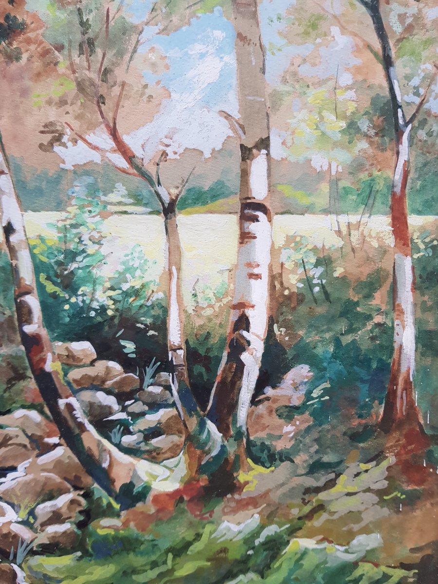 Grande gouache signée - Ruisseau en sous-bois - 1954-photo-3