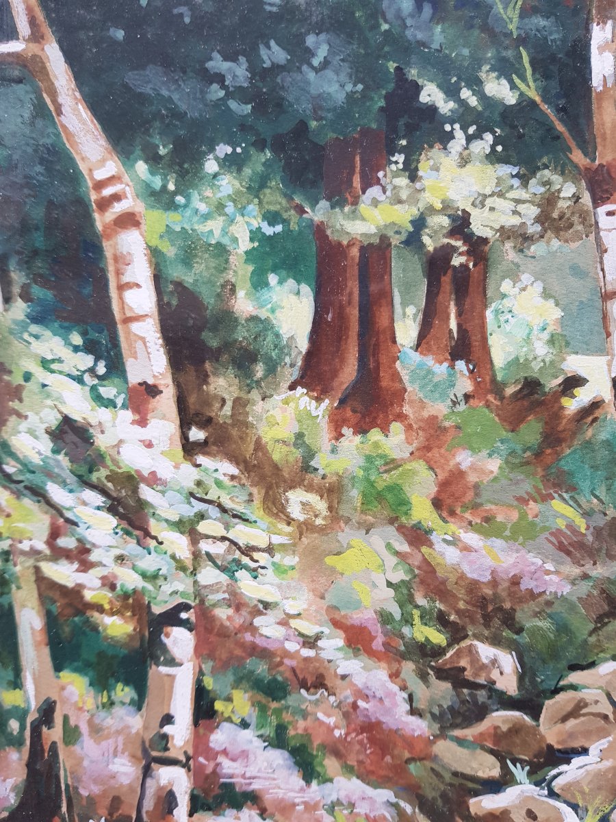 Grande gouache signée - Ruisseau en sous-bois - 1954-photo-4