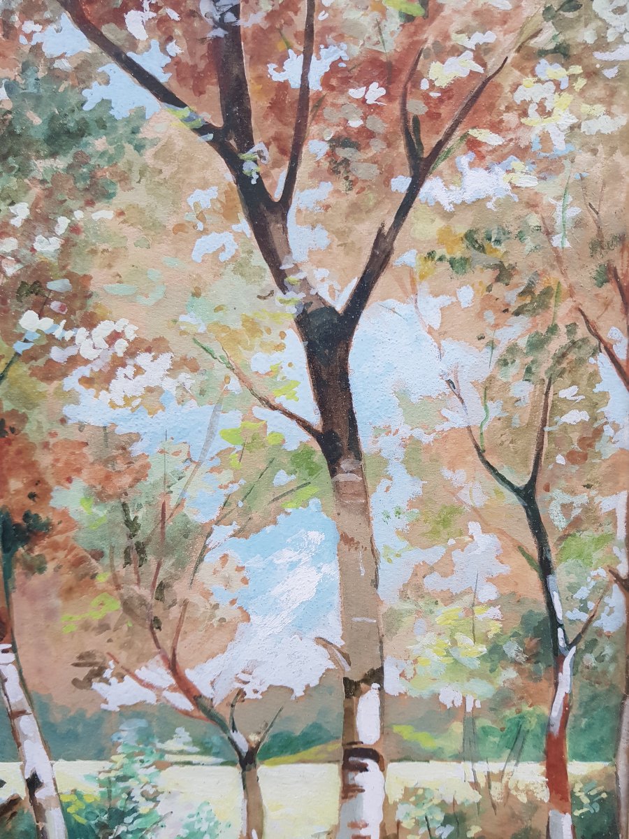 Grande gouache signée - Ruisseau en sous-bois - 1954-photo-6