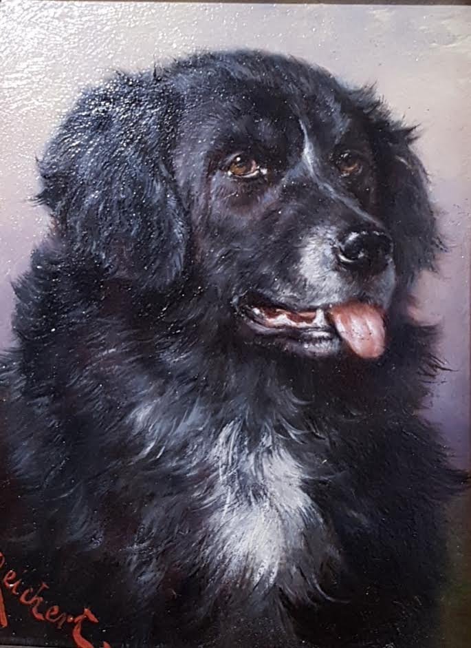 Portraits De Chiens Par Carl Reichert-photo-2