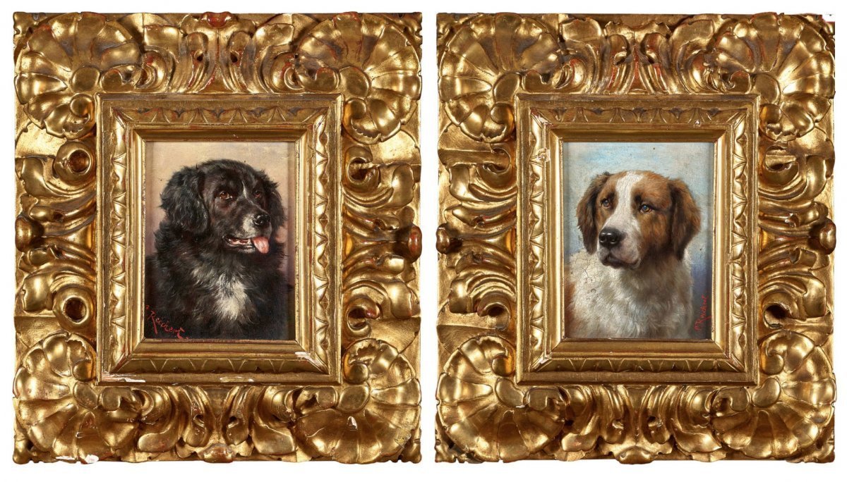 Portraits De Chiens Par Carl Reichert