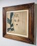 1790312-6a4d005f6caec.jpg