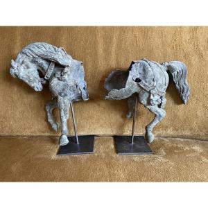Lead Horse