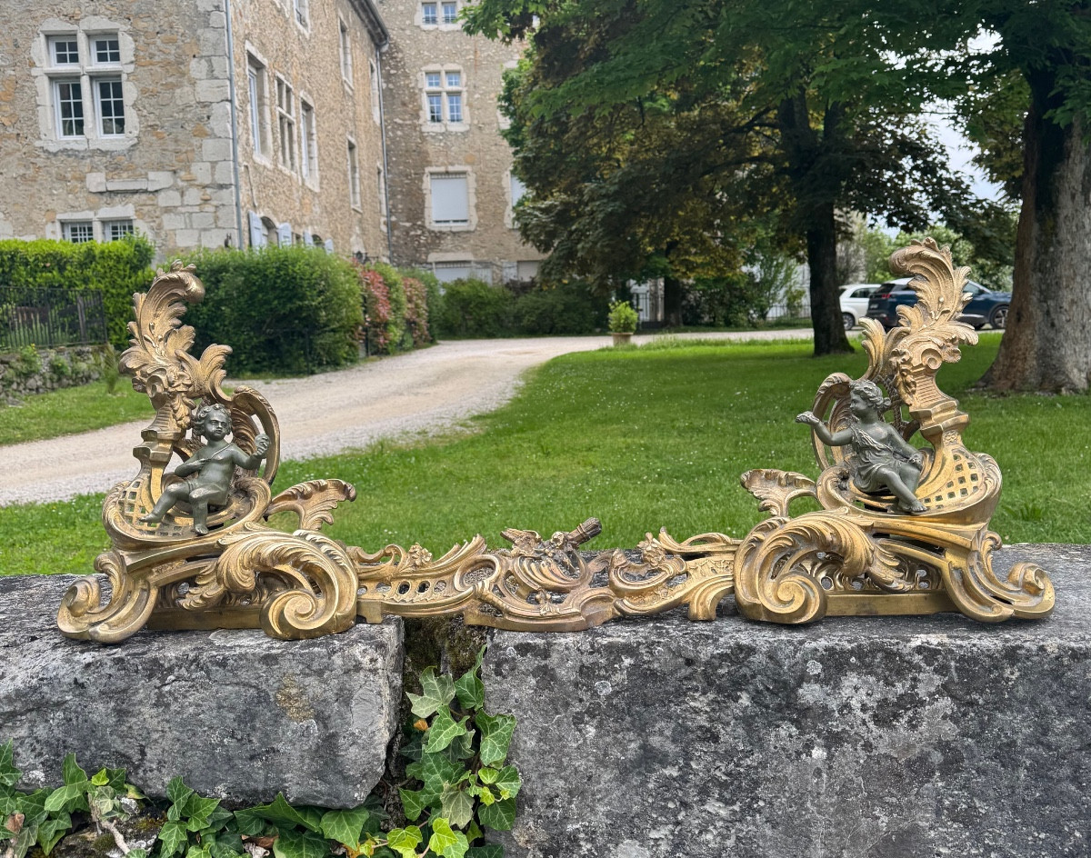 Pair Of Gilt Bronze Andirons – 19th Century 