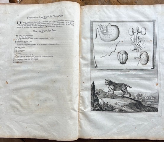 Memoirs To Serve As A Natural History Of Animals, Followed By Measurements Of The Earth - Paris - -photo-4