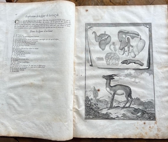 Memoirs To Serve As A Natural History Of Animals, Followed By Measurements Of The Earth - Paris - -photo-1