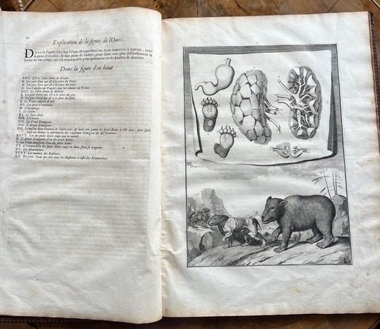 Memoirs To Serve As A Natural History Of Animals, Followed By Measurements Of The Earth - Paris - -photo-4