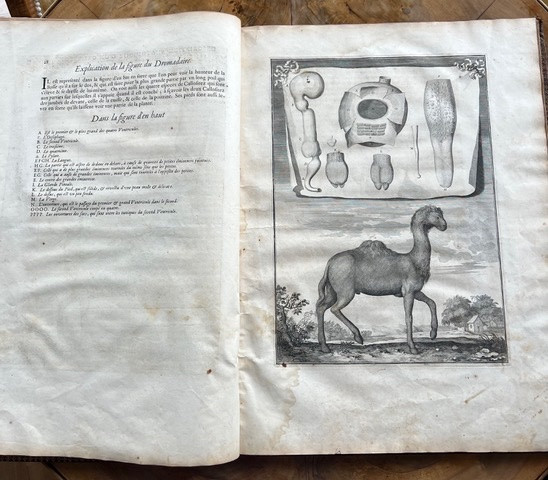 Memoirs To Serve As A Natural History Of Animals, Followed By Measurements Of The Earth - Paris - -photo-6