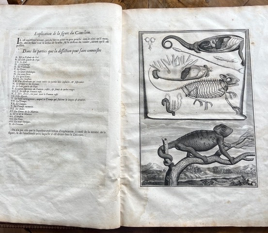 Memoirs To Serve As A Natural History Of Animals, Followed By Measurements Of The Earth - Paris - -photo-7