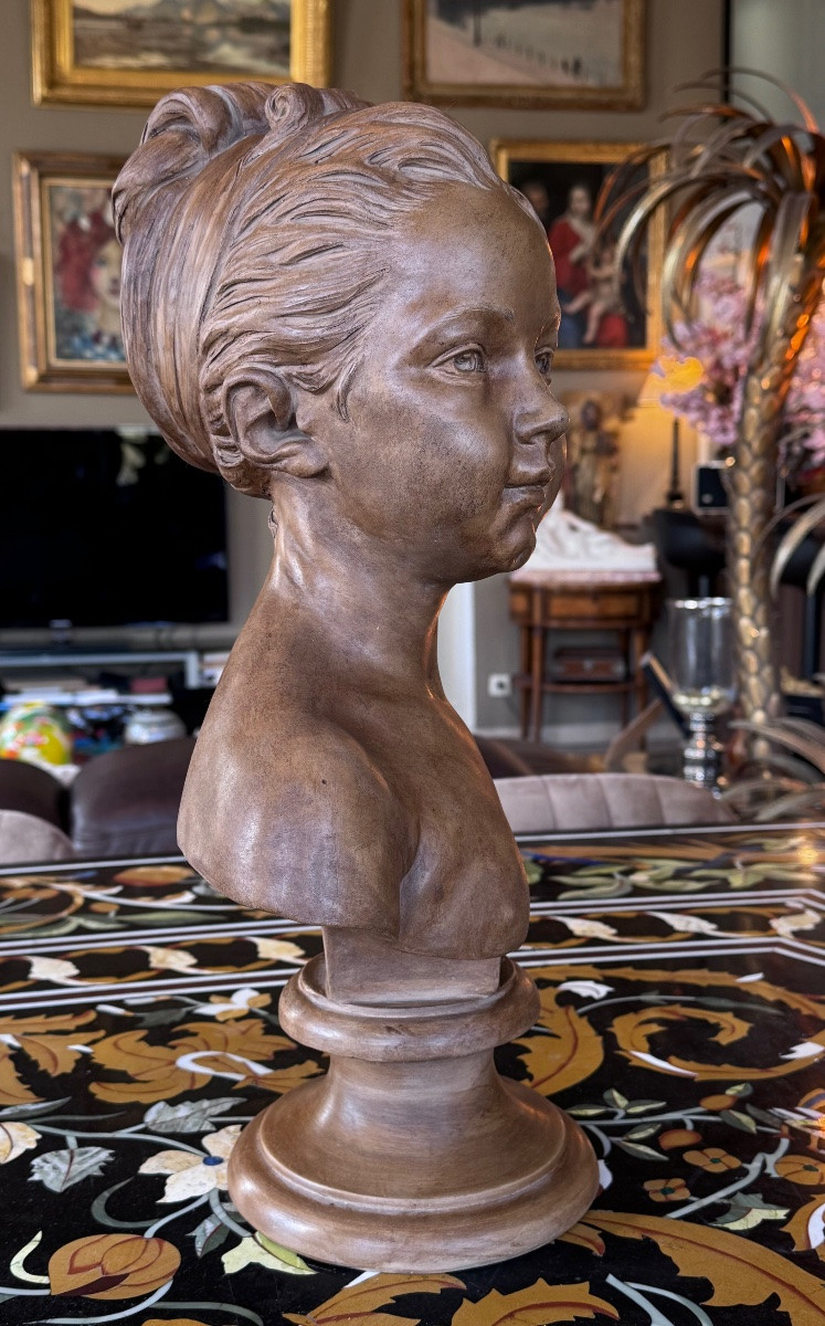 Louise Brongniart d’après Jean-Antoine Houdon (1741–1828) Buste en terre cuite – Fin du XIXe -photo-3