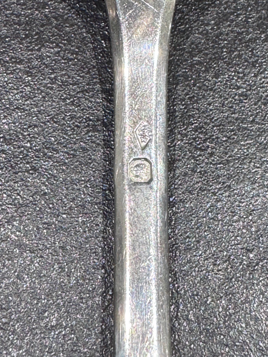 Solid Silver Uniplat - 49 Pieces - Maison Ponti Frères, Lyon-photo-3