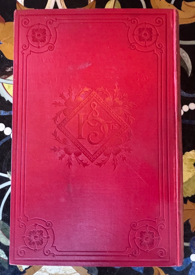Jules Verne – Famille-Sans-Nom – Collection Hetzel – Cartonnage polychrome « à l’éléphant » -photo-2