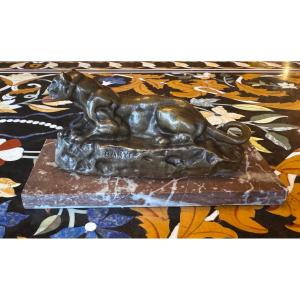 "the Lioness Of Tunis" After Antoine-louis Barye Bronze With Medal Patina 