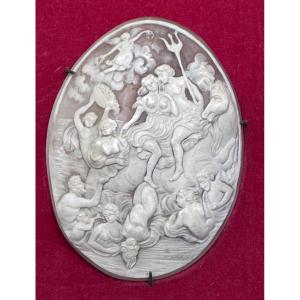 Camée en coquillage sculpté – Neptune et cortège marin – Travail du Grand Tour, XIXe siècle .