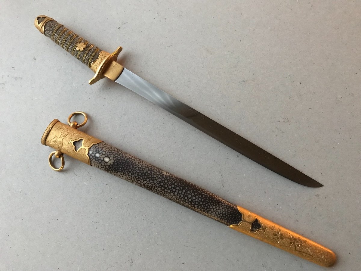 Large Japanese Dagger Of The Imperial Navy-photo-1
