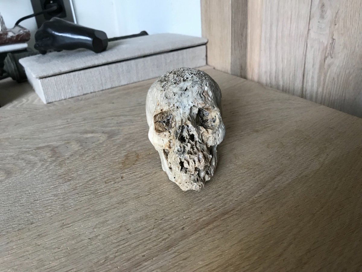 Sculpture De Tete De Mort En Os-photo-1
