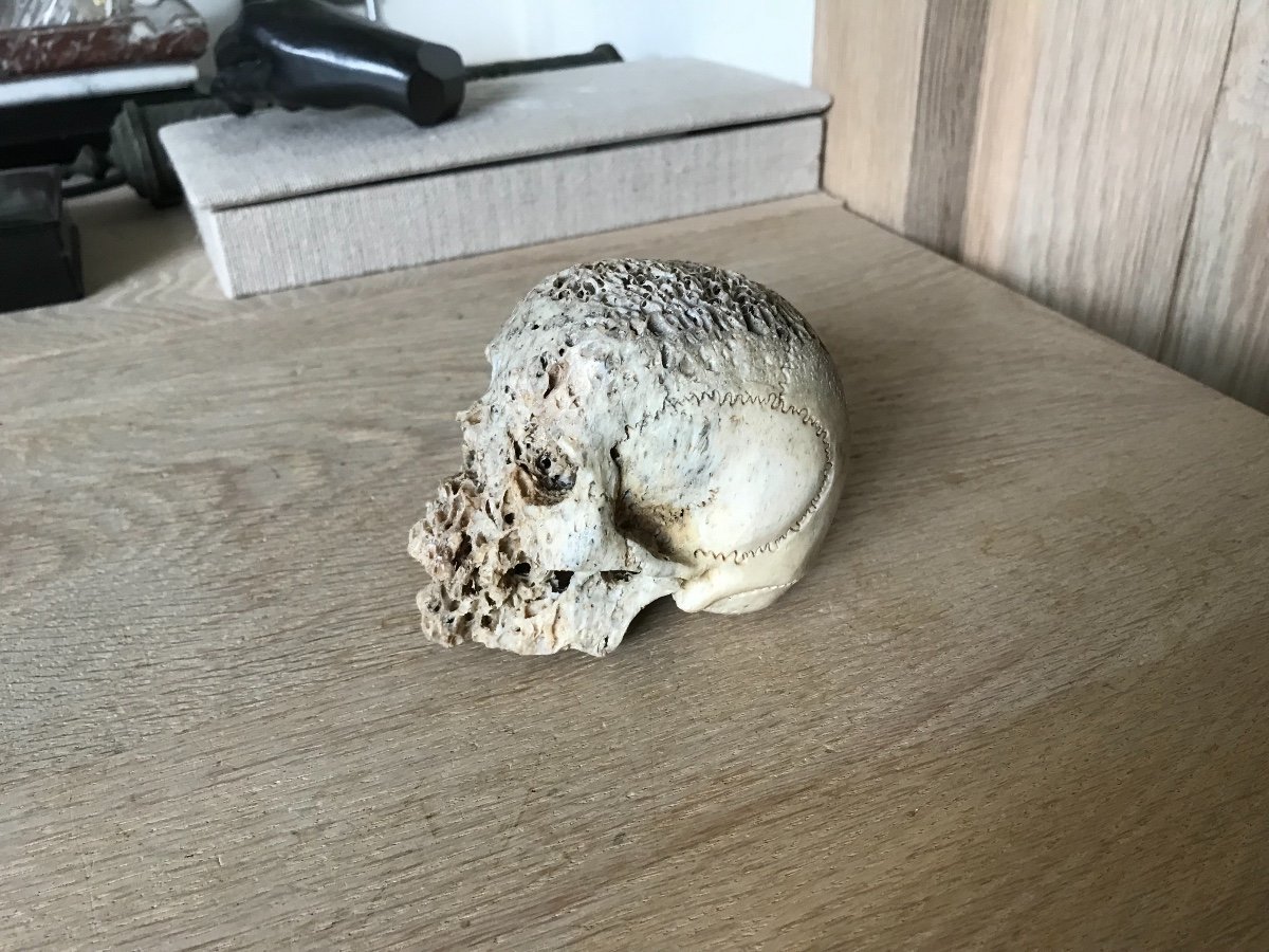 Sculpture De Tete De Mort En Os-photo-2
