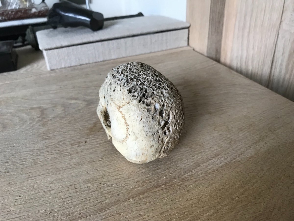 Sculpture De Tete De Mort En Os-photo-3