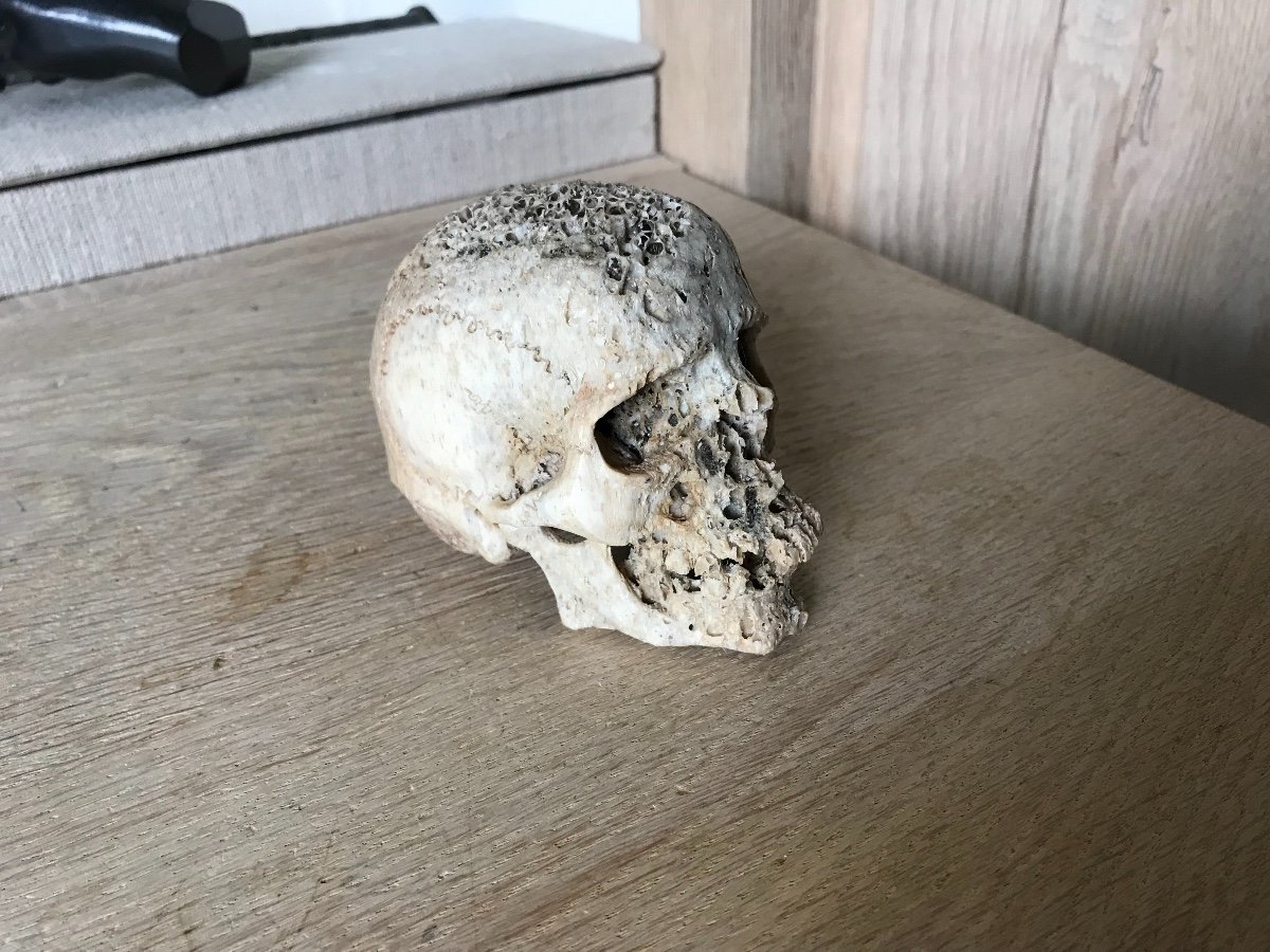 Sculpture De Tete De Mort En Os-photo-6