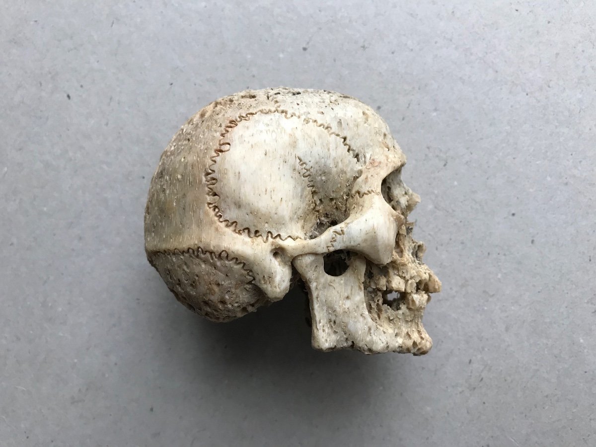 Sculpture De Tete De Mort En Os