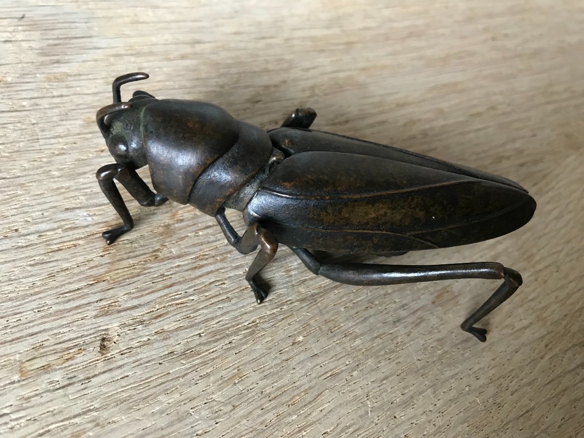 Jizai Okimono Articulated Grasshopper In Bronze-photo-2