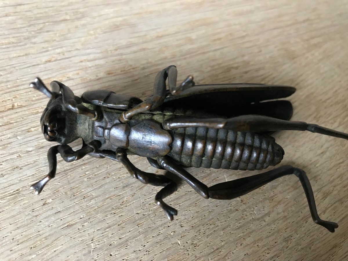 Jizai Okimono Articulated Grasshopper In Bronze-photo-3