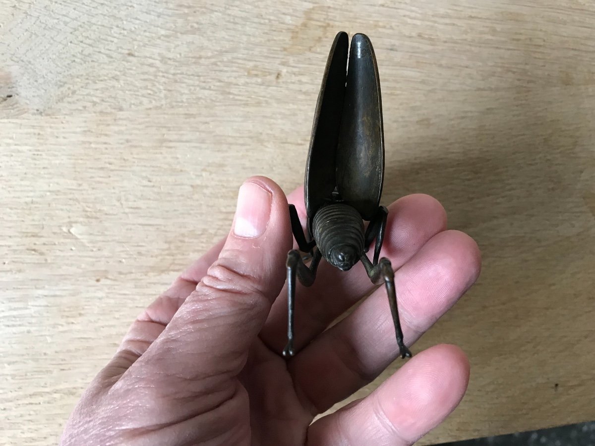 Jizai Okimono Articulated Grasshopper In Bronze-photo-1