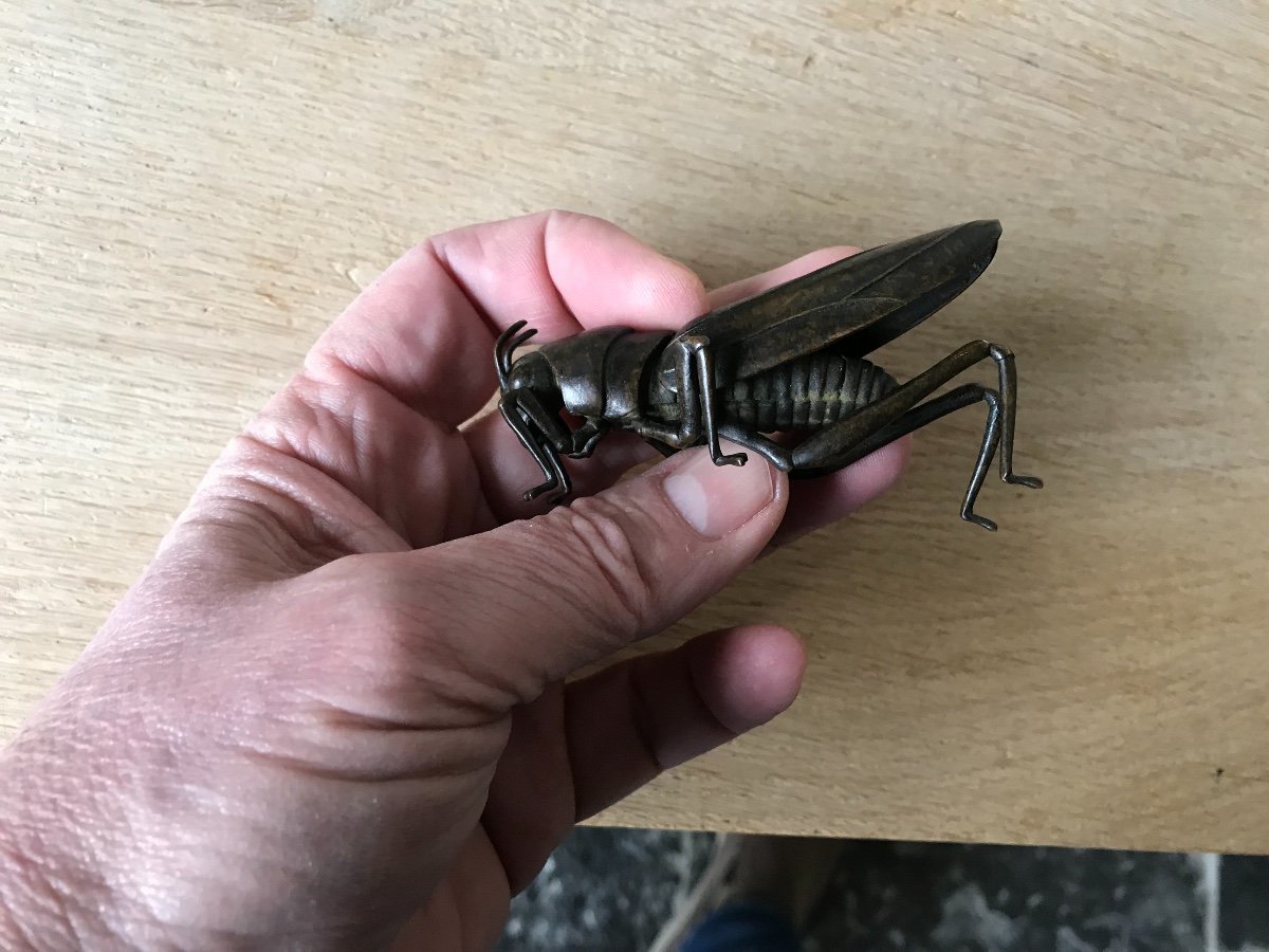Jizai Okimono Articulated Grasshopper In Bronze-photo-5