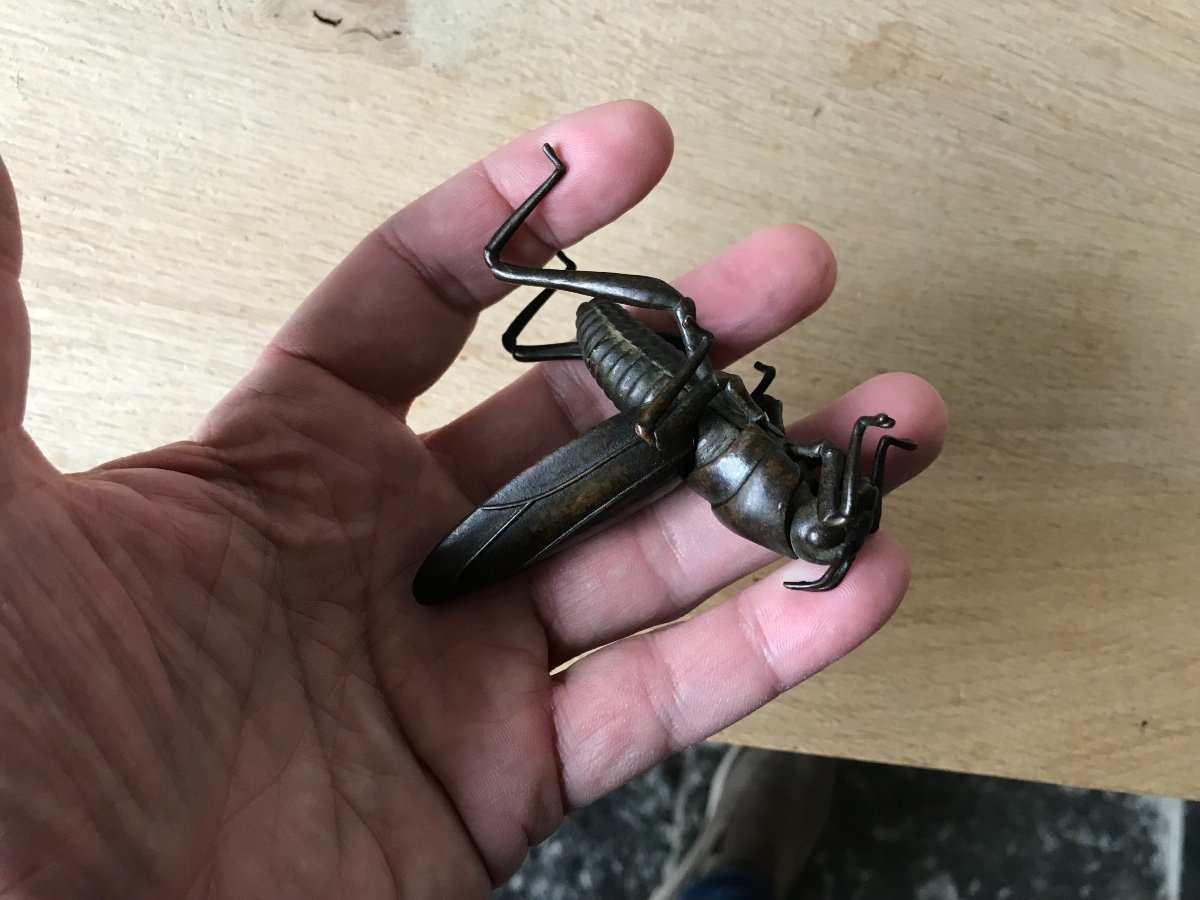 Jizai Okimono Articulated Grasshopper In Bronze-photo-6