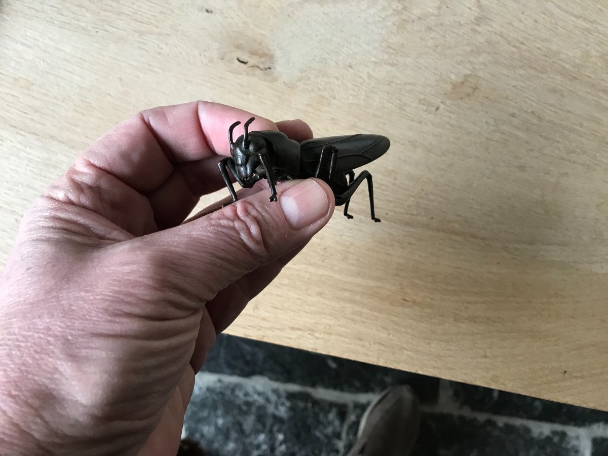 Jizai Okimono Articulated Grasshopper In Bronze-photo-7